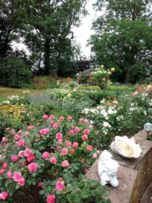 Ferienhaus Rosengarten Loxstedt Zewnętrze zdjęcie